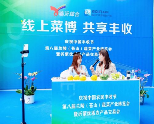 第八届兰陵（苍山）蔬菜产业博览会暨2020年中国·临沂农民丰收节盛大开幕，鸿雀信息科技助阵数字化新农业